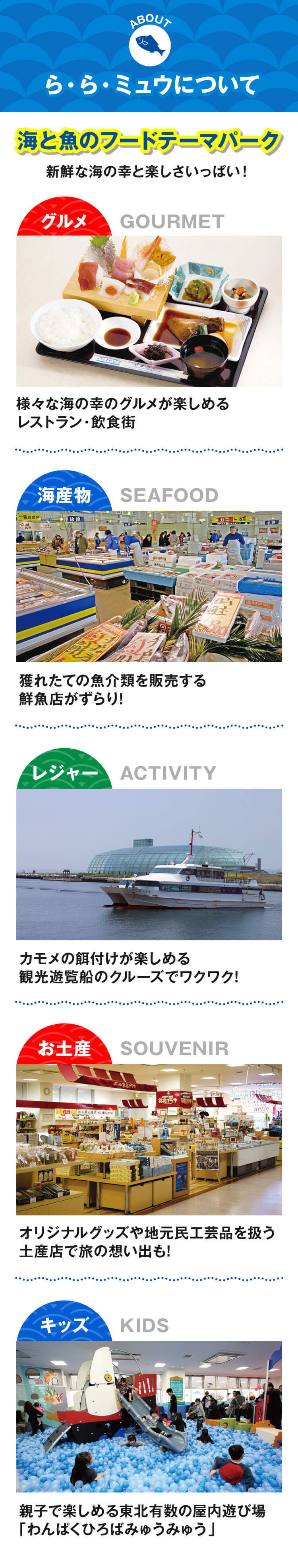 新鮮な海の幸と楽しさいっぱい！