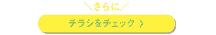 チラシをチェック