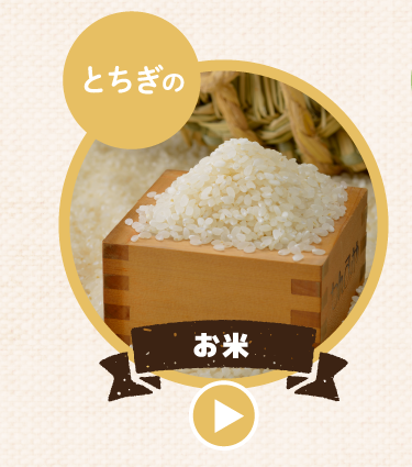 とちぎのお米