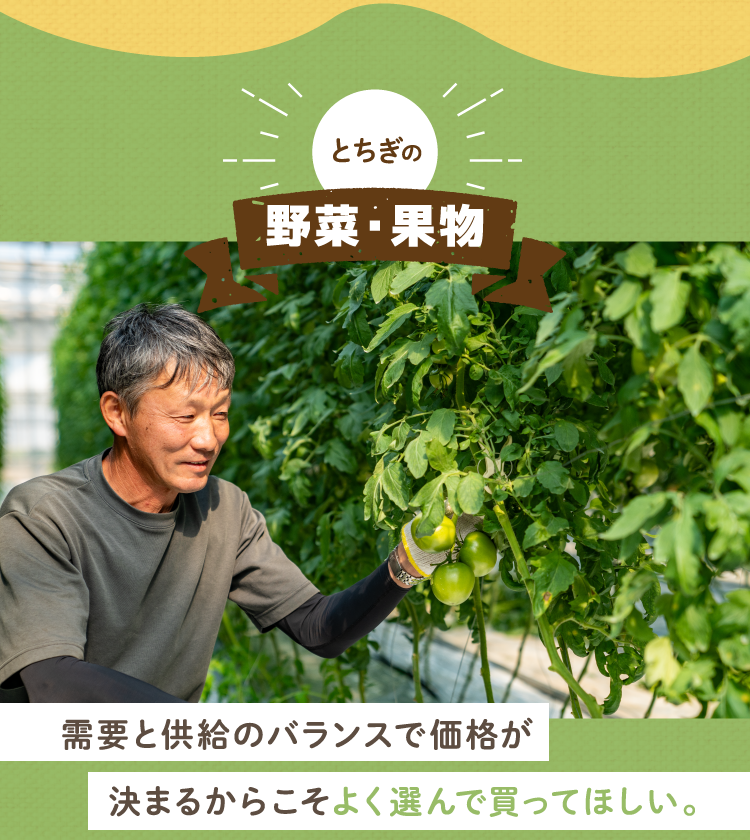 とちぎの野菜・果物｜需要と供給のバランスで価格が決まるからこそよく選んで買ってほしい。