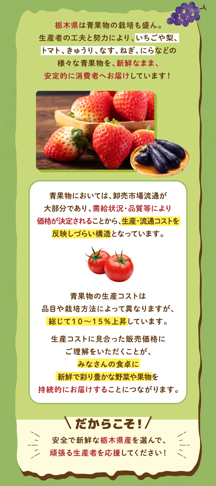 栃木県は青果物の栽培も盛ん。生産者の工夫と努力により、いちごや梨、トマト、きゅうり、なす、ねぎ、にらなどの様々な青果物を、新鮮なまま、安定的に消費者へお届けしています！