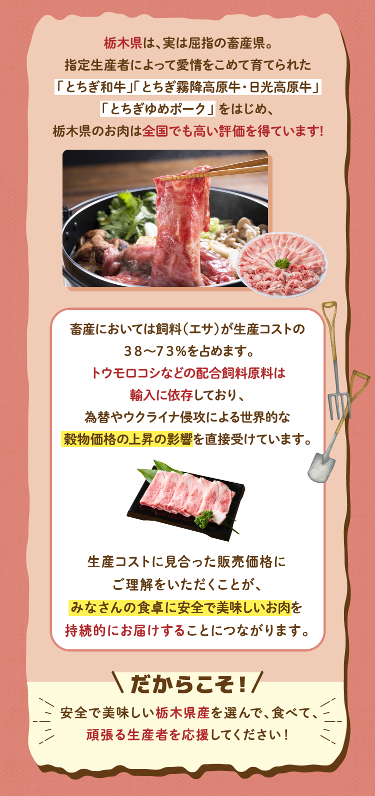栃木県は、実は屈指の畜産県。指定生産者によって愛情をこめて育てられた「とちぎ和牛」「とちぎ霧降高原牛・日光高原牛」「とちぎゆめポーク」をはじめ、栃木県のお肉は全国でも高い評価を得ています！
