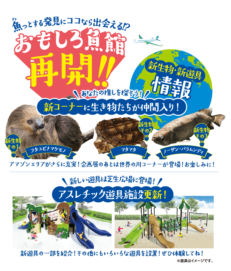 魚っとする発見にココなら出会える!?おもしろ魚館再開!! あなたの推しを探そう!新コーナーに生き物たちが仲間入り!