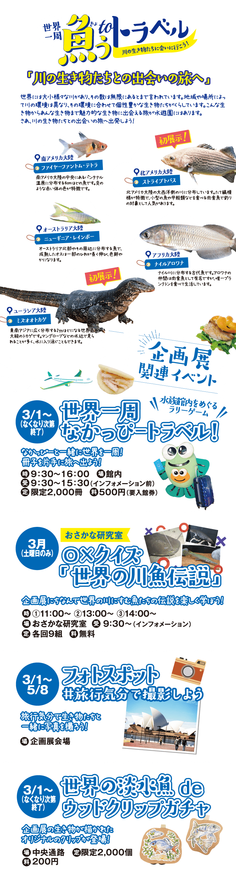 世界一周 魚うtoトラベル 「川の生き物たちとの出会いの旅へ」