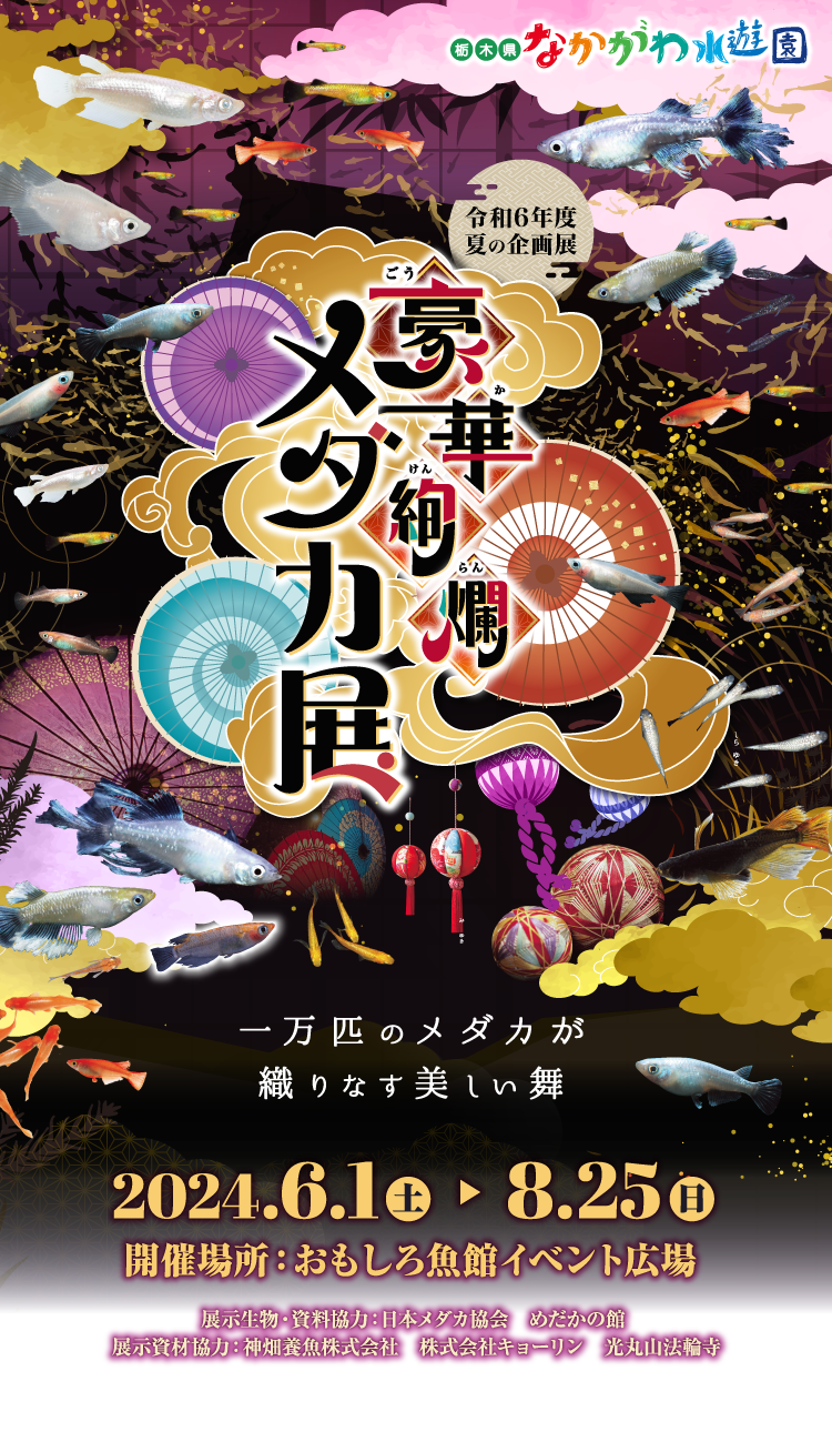 令和6年度 夏の企画展 豪華絢爛メダカ展 一万匹のメダカが織りなす美しい舞 栃木の水族館 なかがわ水遊園 おもしろ魚館イベント広場を中心とした展示ゾーン 2024年6月1日（土）〜2024年8月25日（日）まで