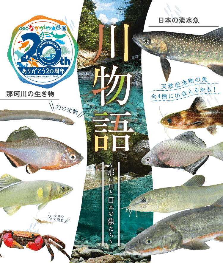 川物語～那珂川と日本の魚たち～
