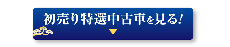 初売り特選中古車を見る!