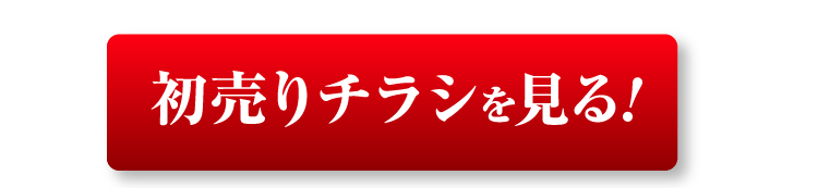 初売りチラシを見る