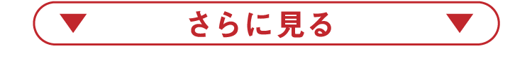 さらに見る