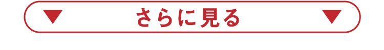 さらに見る
