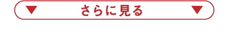 さらに見る