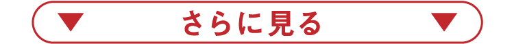 さらに見る