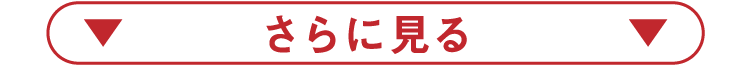 さらに見る