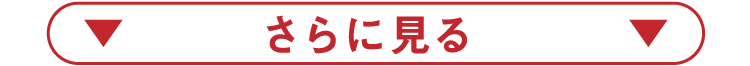 さらに見る