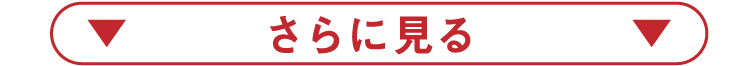 さらに見る