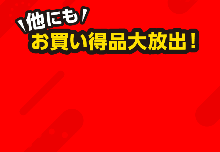 他にもお買い得品大放出!