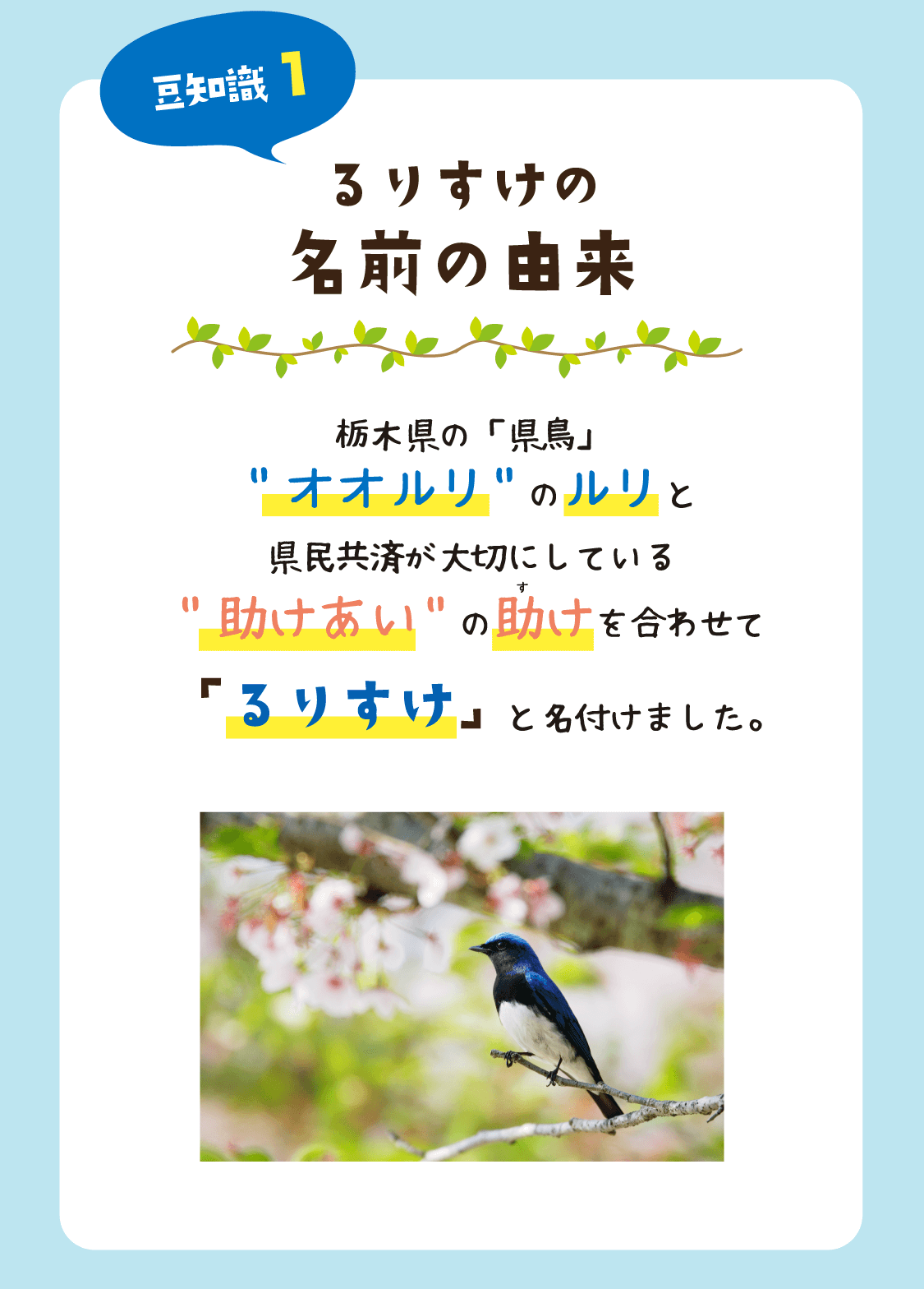 豆知識1